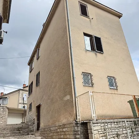 Flowers Pula, Center *