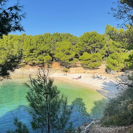 Flowers Pula, Center