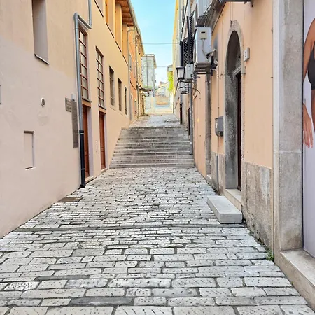 Flowers Pula, Center Пула