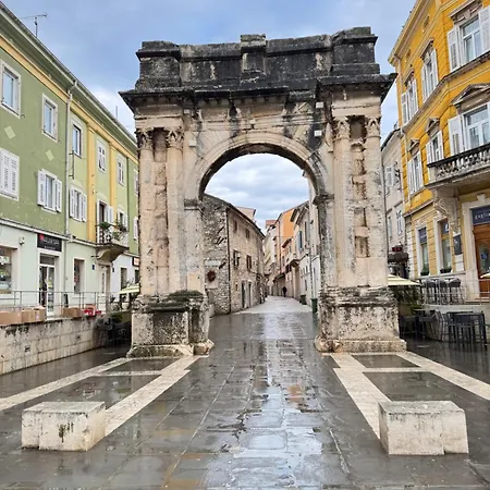 Flowers Pula, Center * Pula