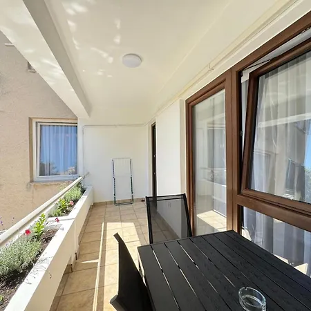 Flowers Pula, Center