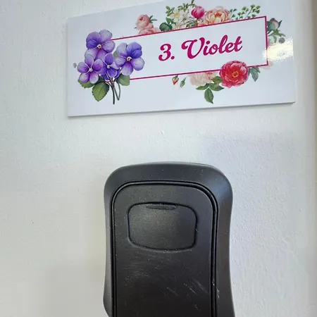 Flowers Pula, Center * Pula