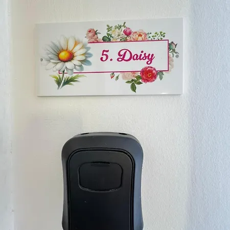 Flowers Pula, Center * Pula