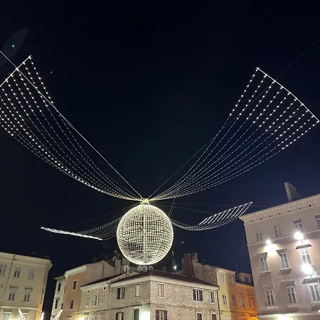 Flowers Pula, Center Пула