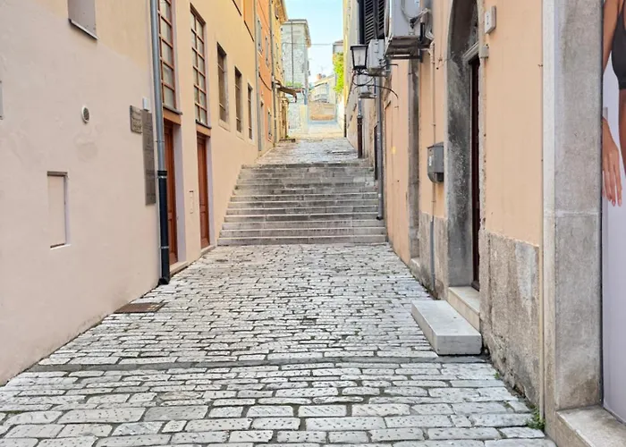 Flowers Pula, Center Pula