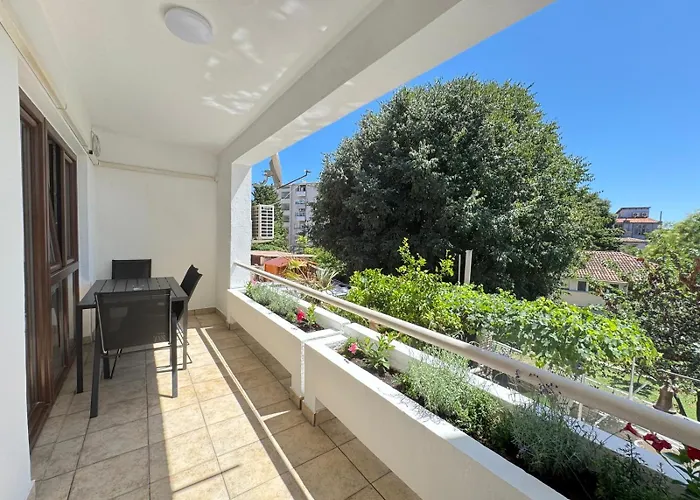 Flowers Pula, Center * Pula