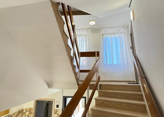 Flowers Pula, Center Pula