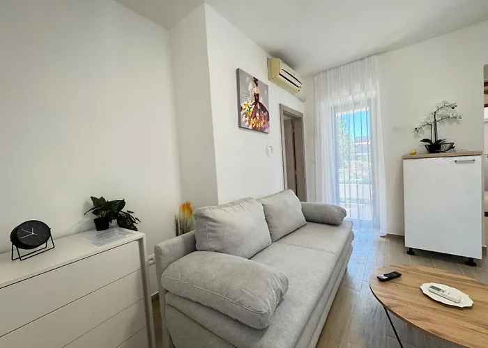 Flowers Pula, Center *