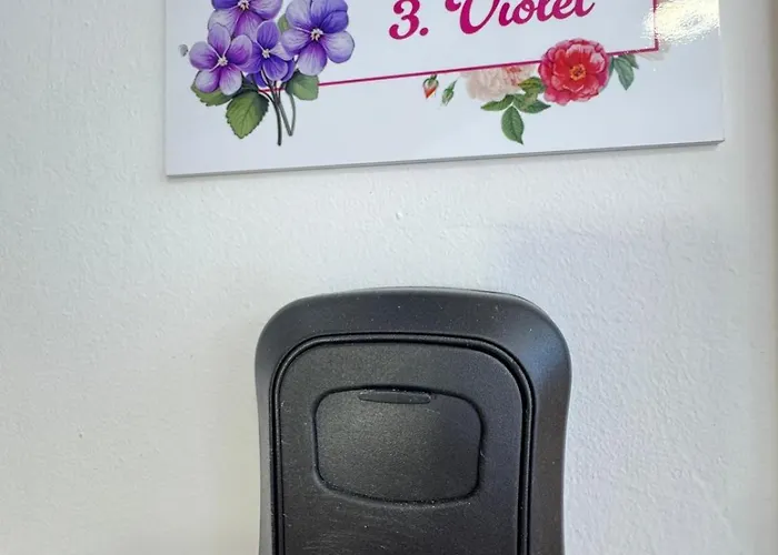 Flowers Pula, Center * Pula