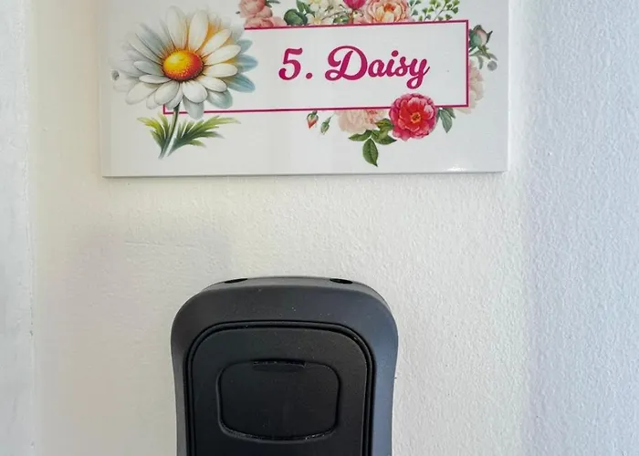 Flowers Pula, Center * Pula