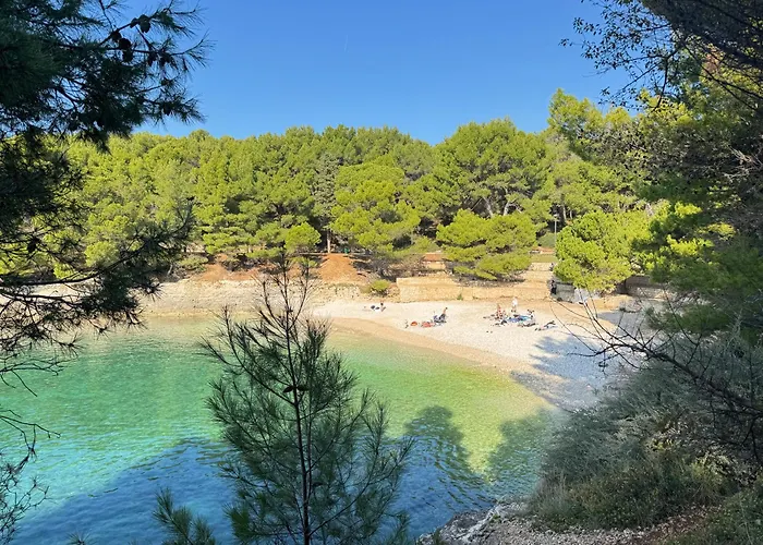 Flowers Pula, Center