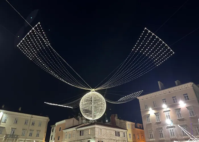 Flowers Pula, Center Pula