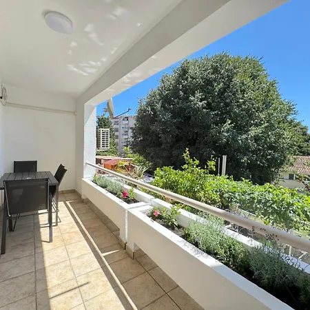 Flowers Pula, Center * פולה