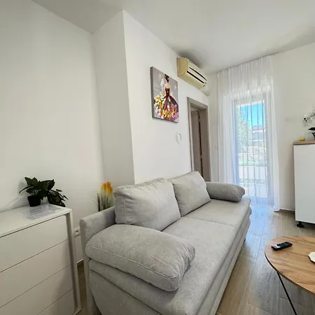 Flowers Pula, Center *